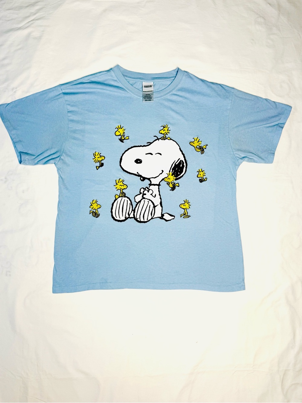 Peanuts Snoopy and
Woodstock Embroidered Light
Blue Graphic T-Shirt - Picture 8 of 8